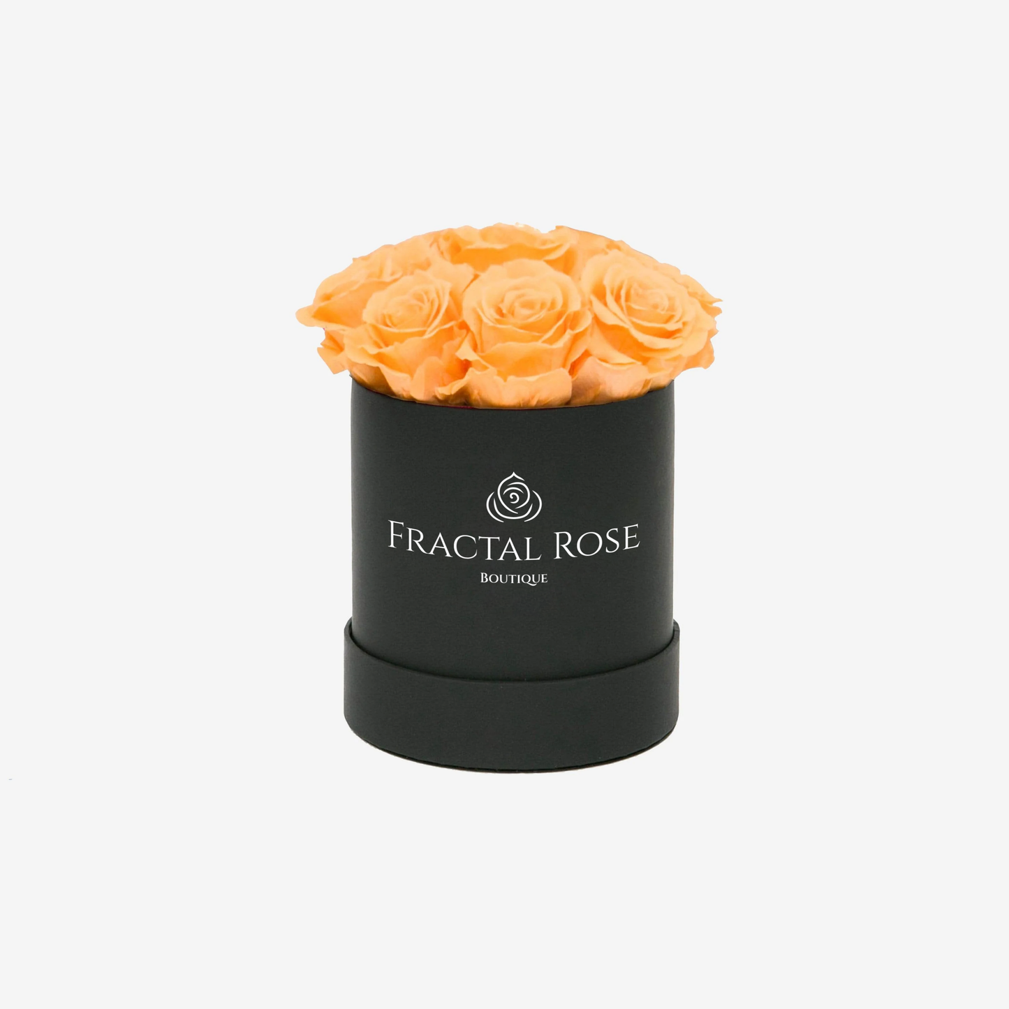 Mini Deluxe Round Box Black