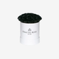 Fractal Rose Mini Deluxe Round Box - Luxury Preserved Roses - Black Box - 7 Eternal Roses - Elegance and Sophistication - Perfect Gift - Fractal Rose Collection