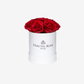 Fractal Rose Mini Deluxe Round Box - Luxury Preserved Roses - Black Box - 7 Eternal Roses - Elegance and Sophistication - Perfect Gift - Fractal Rose Collection