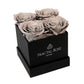 Mini Fractal Box - Modern Square Box - 4 Preserved Roses - Elegance and Charm - Captivating Floral Arrangement - Fractal Rose Collection