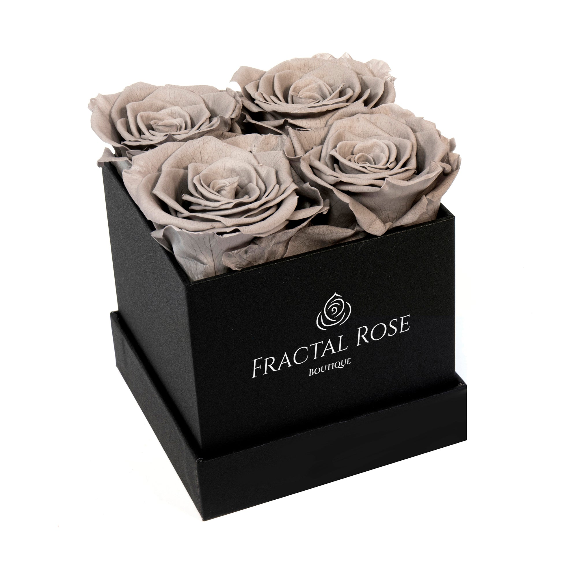 Mini Fractal Box - Modern Square Box - 4 Preserved Roses - Elegance and Charm - Captivating Floral Arrangement - Fractal Rose Collection