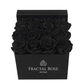Black Fractal Box