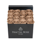 Black Fractal Box
