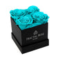 Mini Fractal Box - Modern Square Box - 4 Preserved Roses - Elegance and Charm - Captivating Floral Arrangement - Fractal Rose Collection