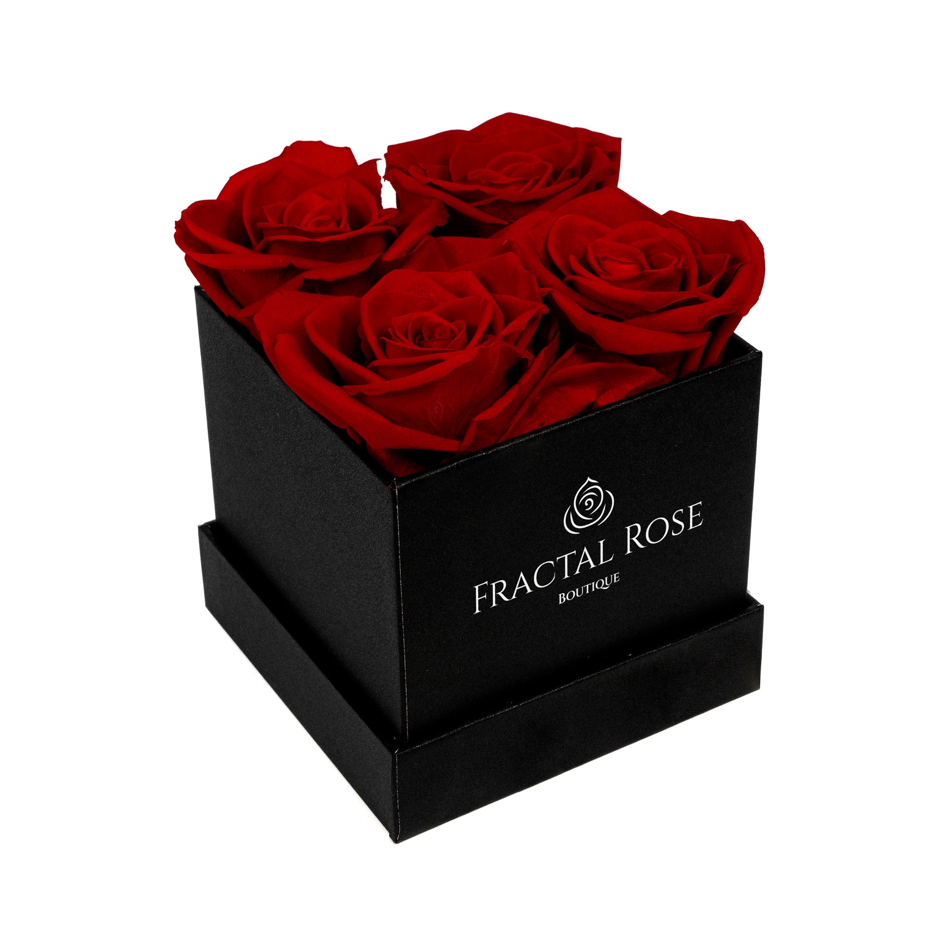 Mini Fractal Box - Modern Square Box - 4 Preserved Roses - Elegance and Charm - Captivating Floral Arrangement - Fractal Rose Collection
