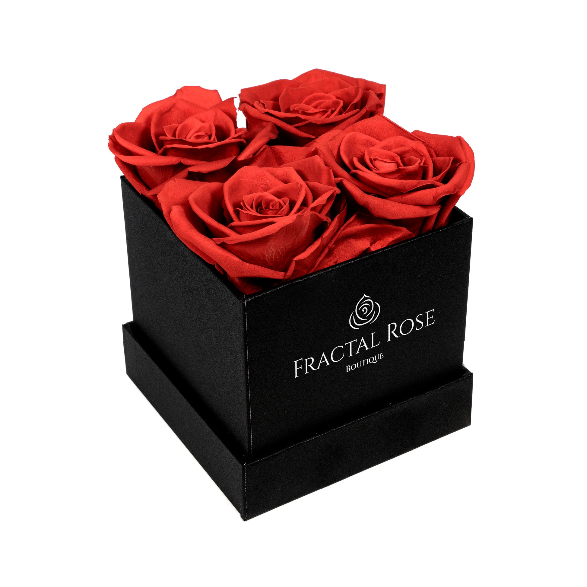 Mini Fractal Box - Modern Square Box - 4 Preserved Roses - Elegance and Charm - Captivating Floral Arrangement - Fractal Rose Collection