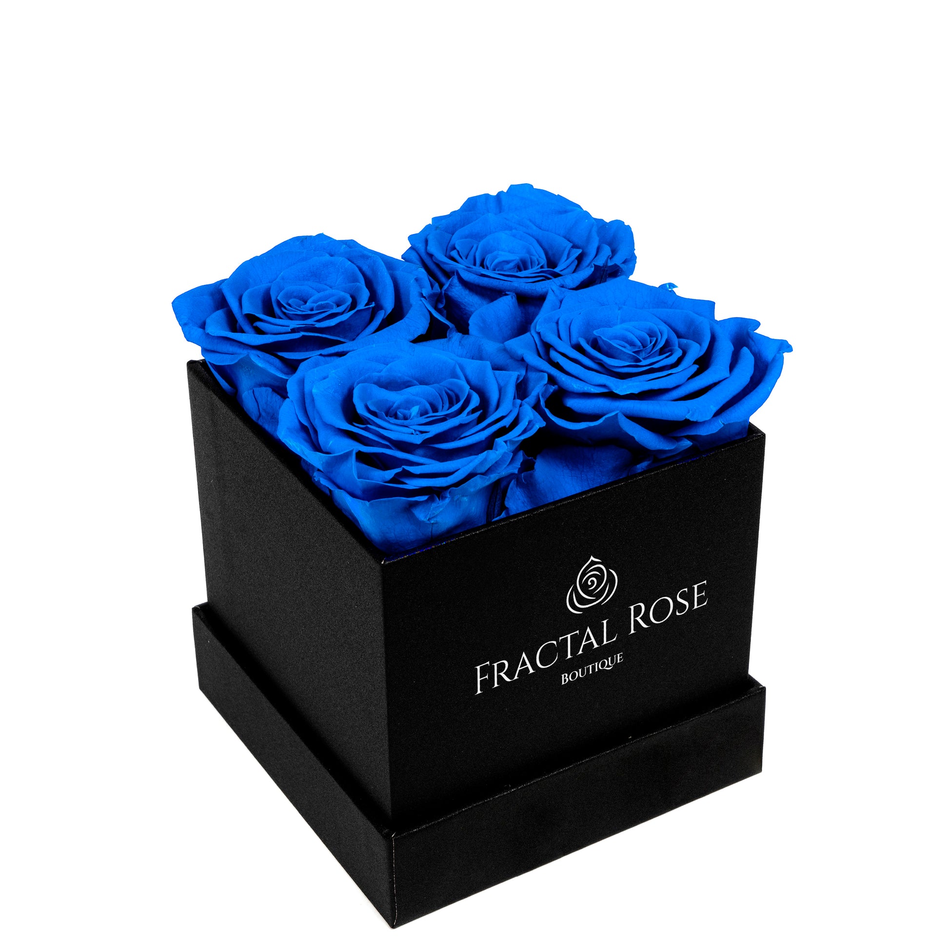 Mini Fractal Box - Modern Square Box - 4 Preserved Roses - Elegance and Charm - Captivating Floral Arrangement - Fractal Rose Collection