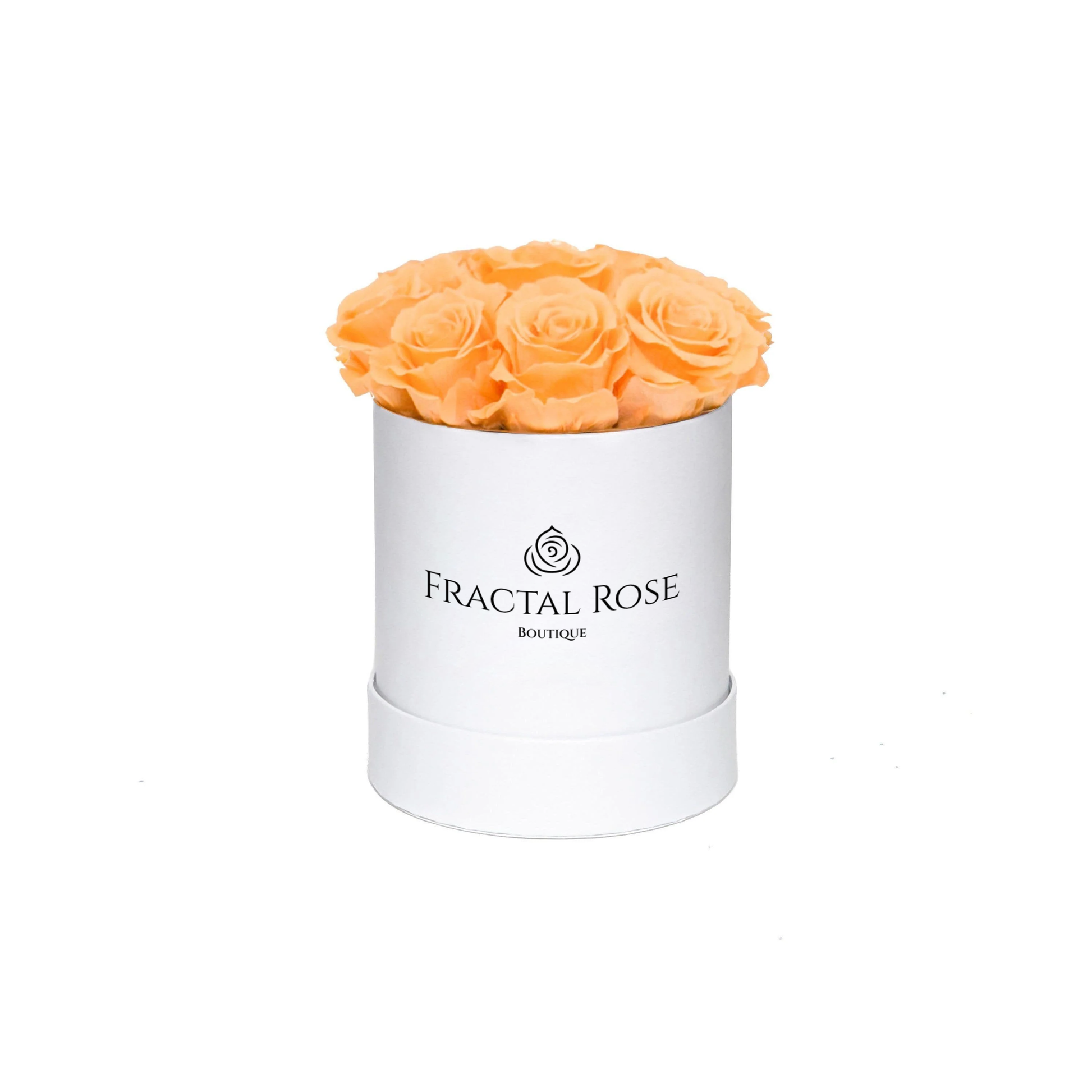 Fractal Rose Mini Deluxe Round Box - Luxury Preserved Roses - Black Box - 7 Eternal Roses - Elegance and Sophistication - Perfect Gift - Fractal Rose Collection