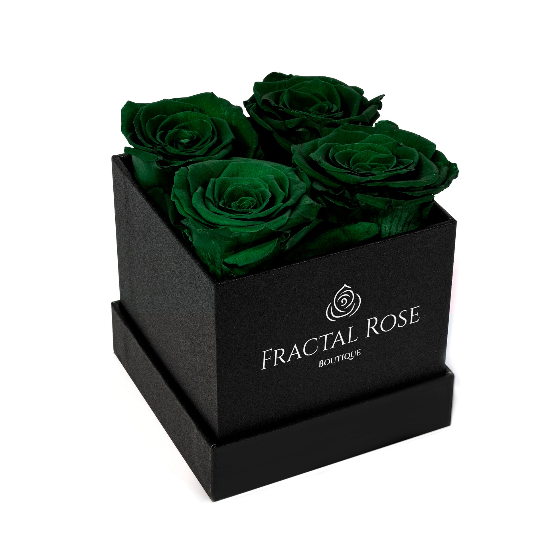 Mini Fractal Box - Modern Square Box - 4 Preserved Roses - Elegance and Charm - Captivating Floral Arrangement - Fractal Rose Collection